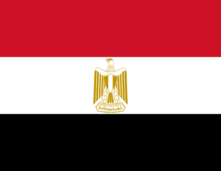 Saudi Visa Agency in Egypt