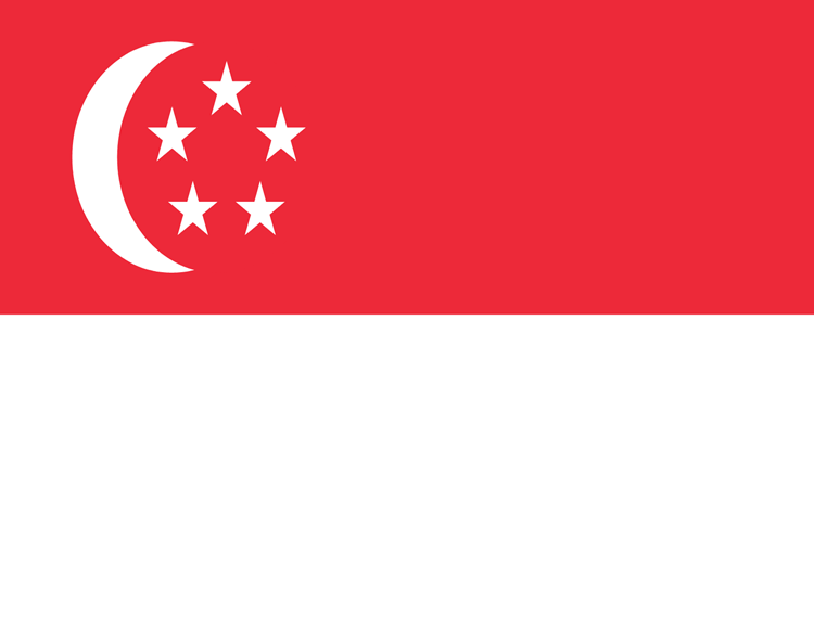 Saudi Visa Agency Services in Asia Pacific
