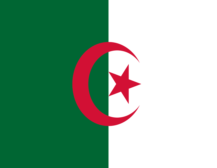 Saudi Visa Agency in Algeria