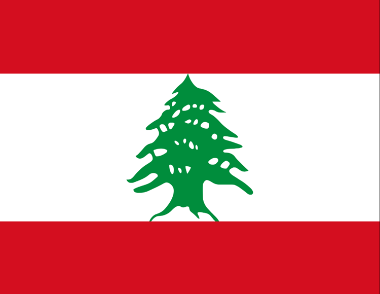 Saudi Visa Agency in Egypt