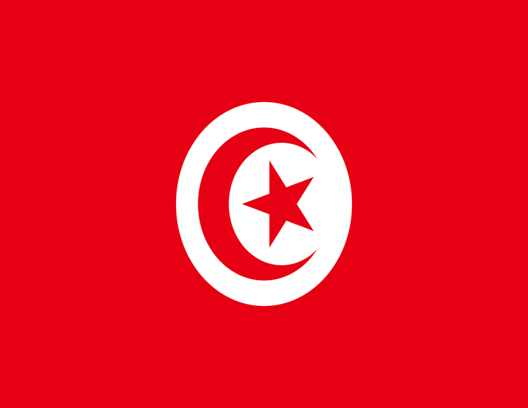 Tunisia Saudi Visa Agnency