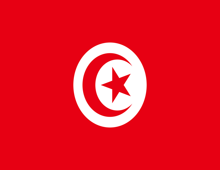 Saudi Visa Agency in Tunisia