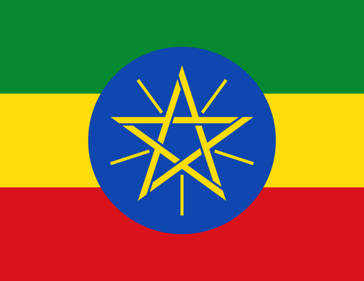 Saudi Visa Services in Ethiopia
