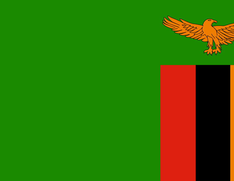 Saudi Visa Services in Zambia