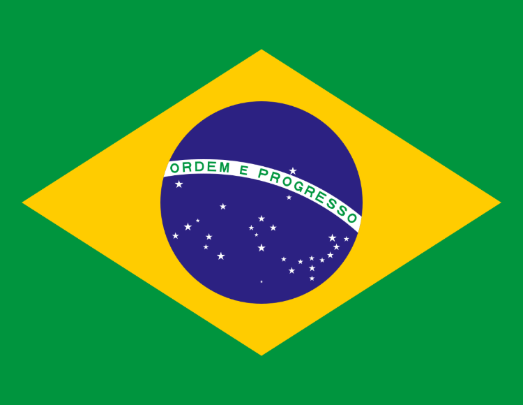 Saudi Visa Agency In Brazil