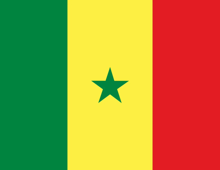 Saudi Visa Services In Senegal